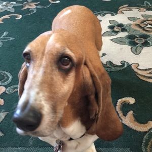 Meet your Posher, Cathy